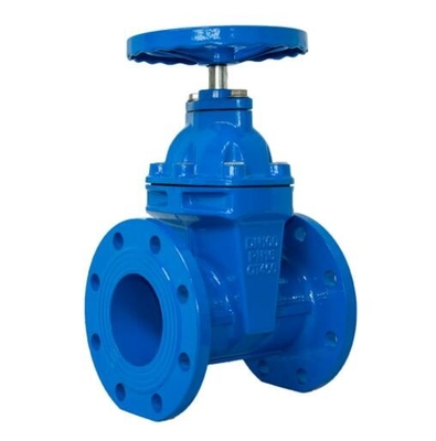 BS 5163 RISING STEM RESLIENT GATE VALVE PN16 วาล์วประตูสแตนเลส