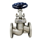 Api 598 Astm A351 ก. Cf8m Ss316 Steam Stainless Steel Flange End Globe Valve